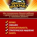 В городе Костанай открылся филиал школы по шахматам «Ход конем».