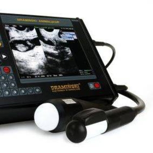 Сканер ультразвуковой портативный  с ректальным зондом и 6, 4 LCD 